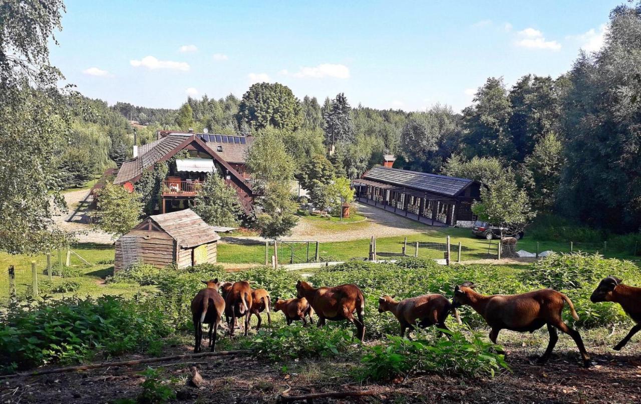 Tamarynowa Osada - Kraina Udanego Wypoczynku Villa Lowyn Exterior photo