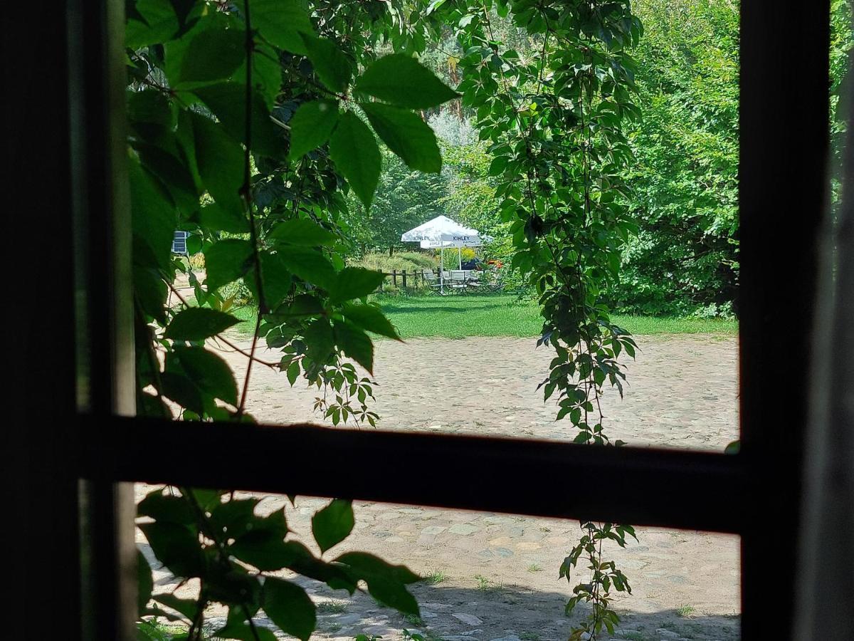 Tamarynowa Osada - Kraina Udanego Wypoczynku Villa Lowyn Exterior photo